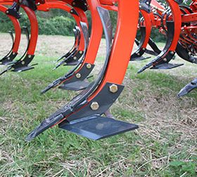 Tines-and-shares-1